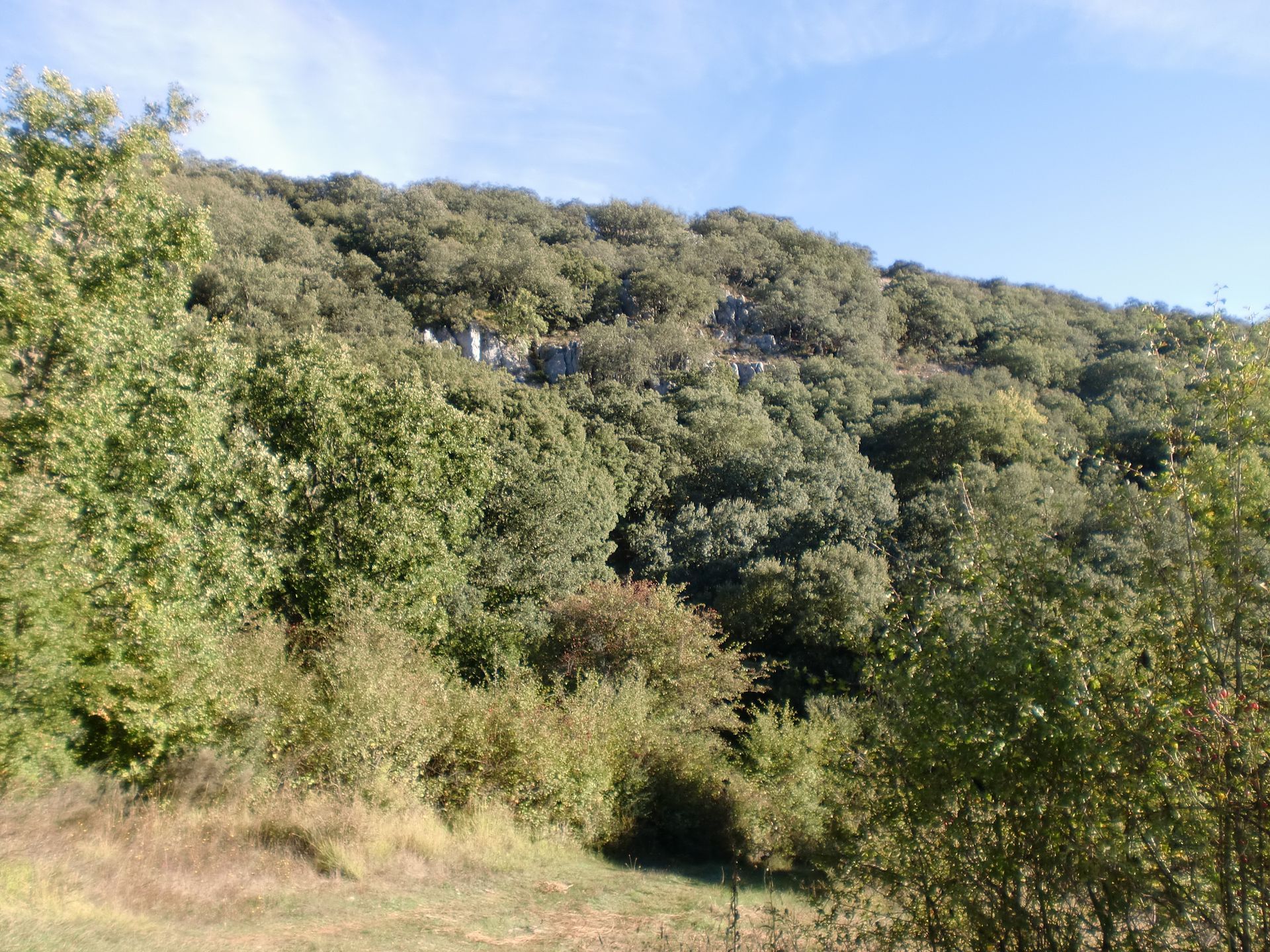Ruta a las Cuevas de Valdegoba